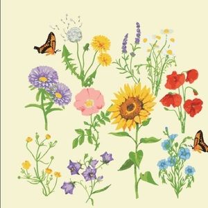 Meet your Posher, Rose